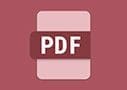 Workflow Central PDF-Symbol Workflow Central PDF-Symbol